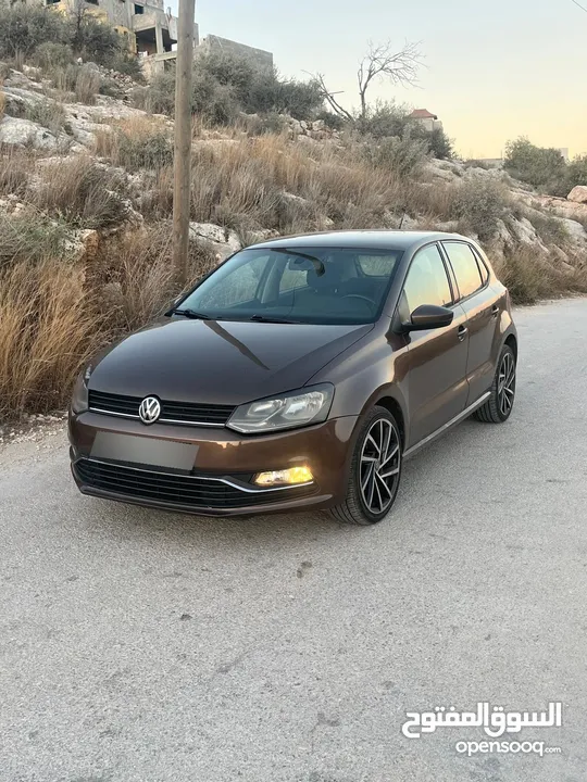 بولو جير عادي الحبة النادرة باللون و الجمال و الفحص
