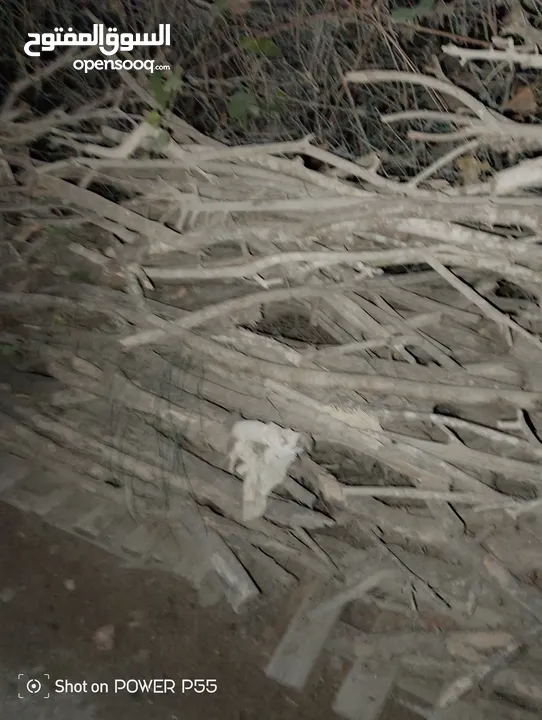 تشكيلة حطب للبيع