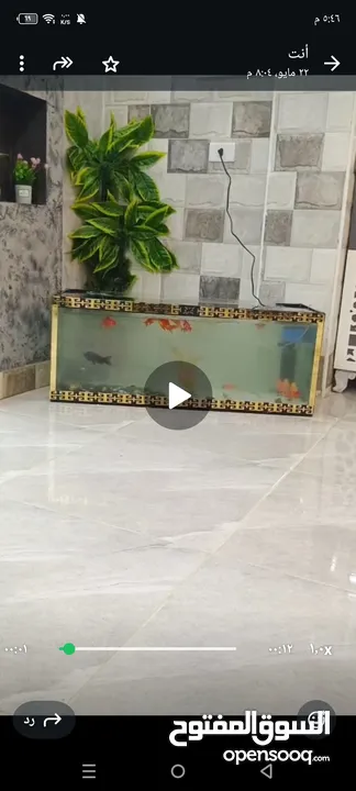 عندي حوض سمك زجاج ثقيل  جميل جدا   ارتفاع 40 عرض 100 مناسب للاطفال وقوي