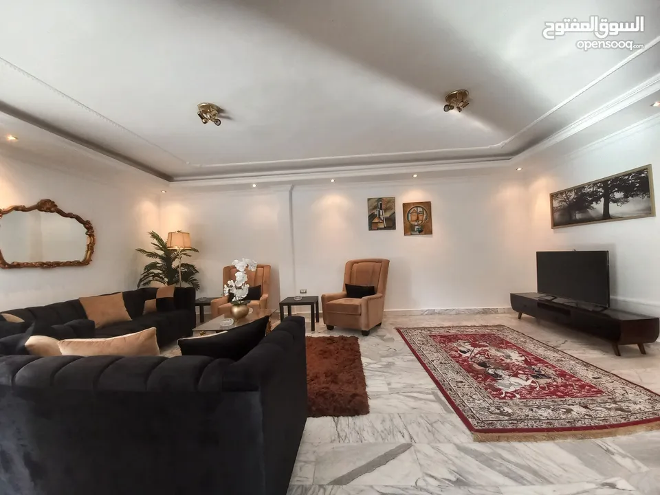 Furnished Apartment For Rent In Abdoun  ( Property 35176 ) Yearly Only  - 174287191