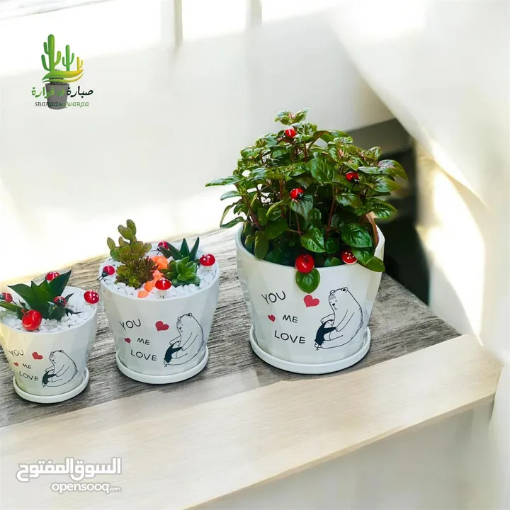 توزيعات للمناسبات والهدايا  وقواوير زينة داخل المنزل
