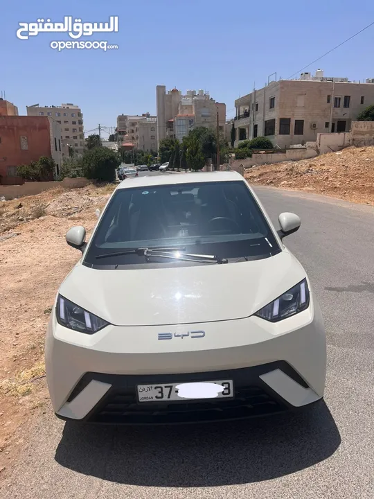 بي واي دي سيجول 2023
