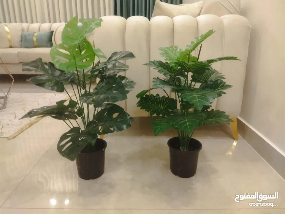 نبات صناعي متل الطبيعي جديد قطعة ويوجد توصيل