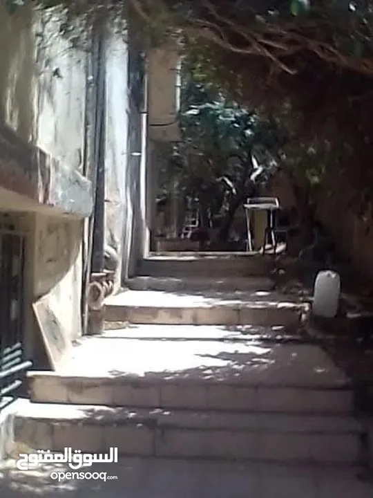عمارة للبيع