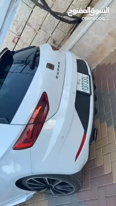 كوبرا 2019 توماتيك فل الفل كرتونة نخب