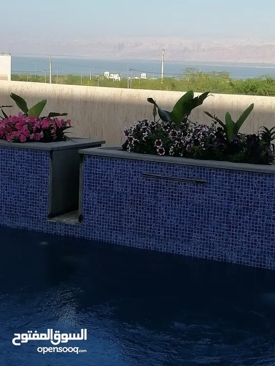 فيلا من 3 طوابق منفصلين تشطيبات فاخره وإطلاله رائعه على البحر الميت  Splendid villa with pool