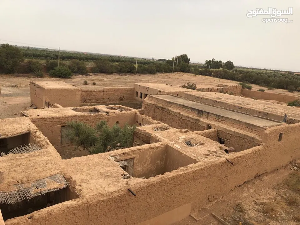 A farm for sale at 25 km from Marrakech