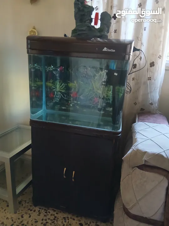 حوض سمك اجنبي