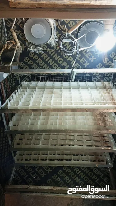 فقاسه فل اتوماتيك للبيع 352بيضه