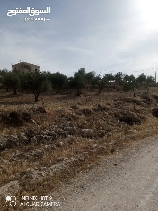 للبيع مزرعة في قرية الرميمين