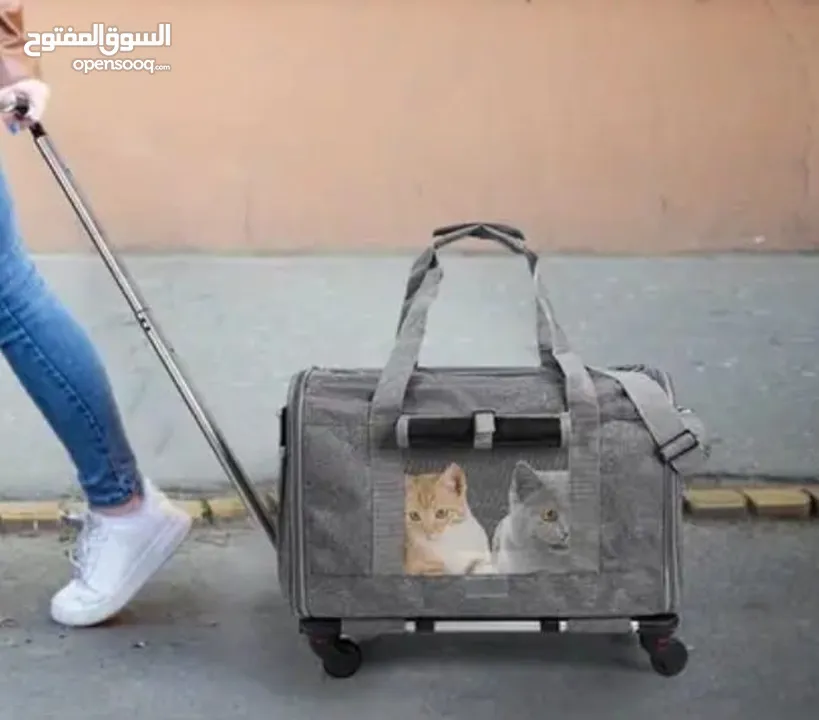 Pet bag trolley  حقيبة مع عجلات للكلاب الصغيرة والقطط لون اسود مع عجلات