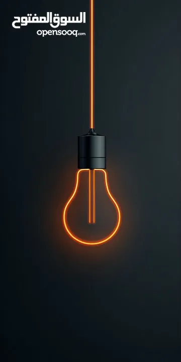 مطلوب شريك ممول مشروع شغال ناجح في مجال هندسة الحاسوب و شركات