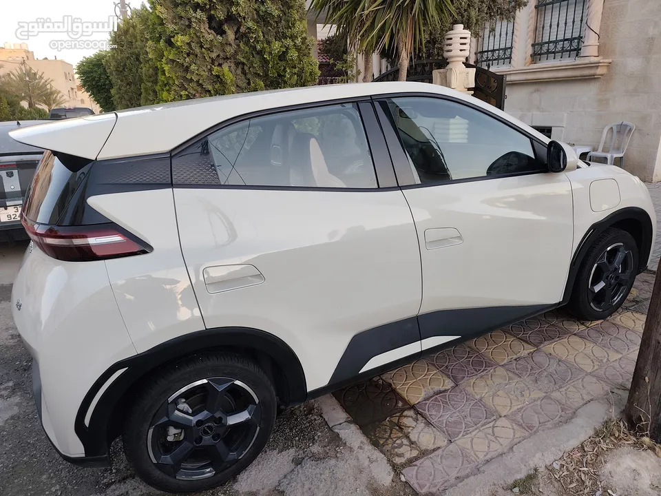 BYD سيجال 2023 ممشى 9000 كيلو بحال الشركة فل الفل