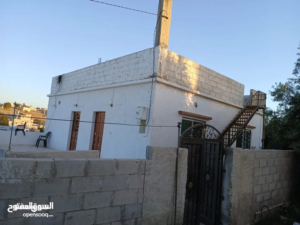 منزل للبيع المفرق بلعما الزيتونه واصل جميع الخدمات منطقة الزيتونة قريب من شارع اوستراد اربد الزرقاء