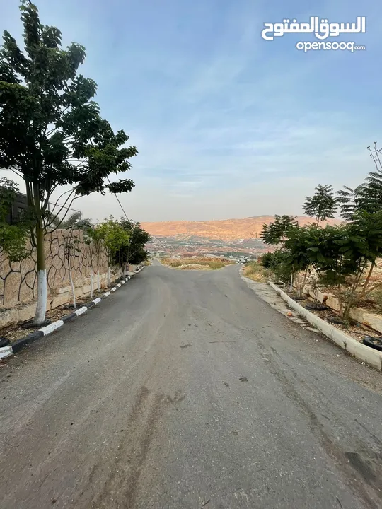 ارض للبيع في النصارية