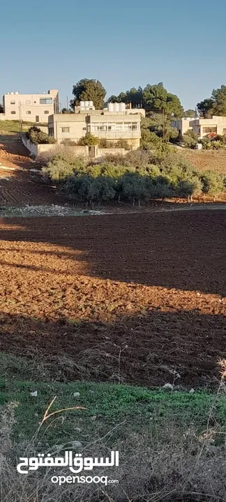 ارض للبيع مع منزل عليها في حسبان بسعر مغري جداً (لقطة) السعر ممتاز و مناسب جدا جدا و الارض لققطة