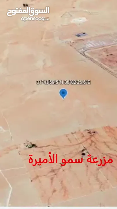 الكتيفة أفضل حوض , كيلو متر واحد فقط عن مطار الملكة علياء الدولي, 700 م عن مزرعة سمو الأميرة الموقر