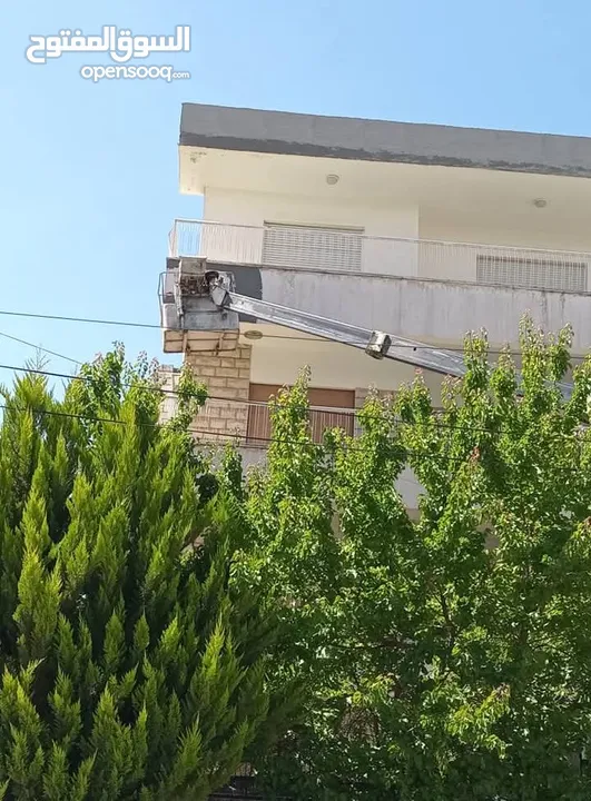 قص وتقليم اشجار النخيل
