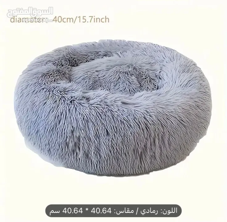 قطة هملايا