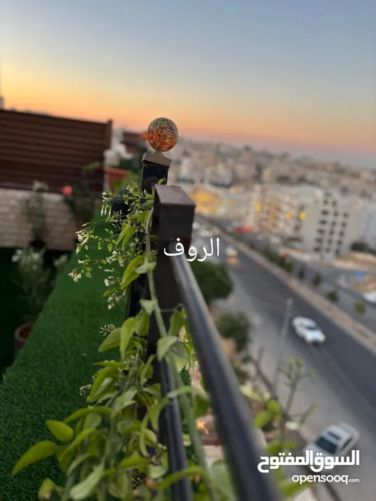 لمن يرغب بالسكن أو الاستثمار شقة مع روف فاخرة تشطيب ديلوكس في اجمل مناطق الجبيهة للبيع بسعر مميز