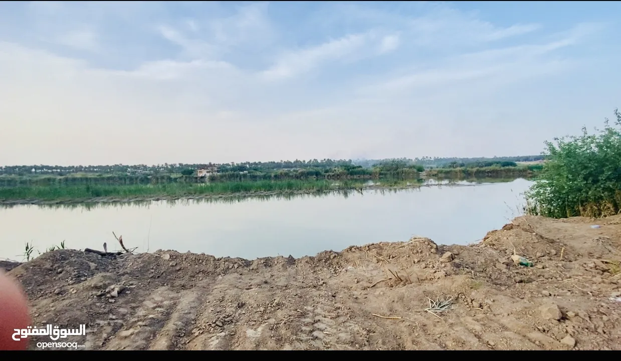 مزرعه طابو ملك صرف مطله على نهر دجله مساحه 812 متر