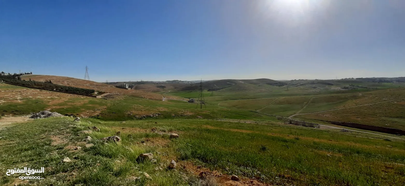 أرض للبيع - شفا بدران - زينات الربوع - حوض الشكارة