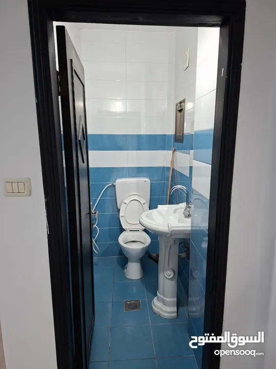 ابو زين ابراهيم