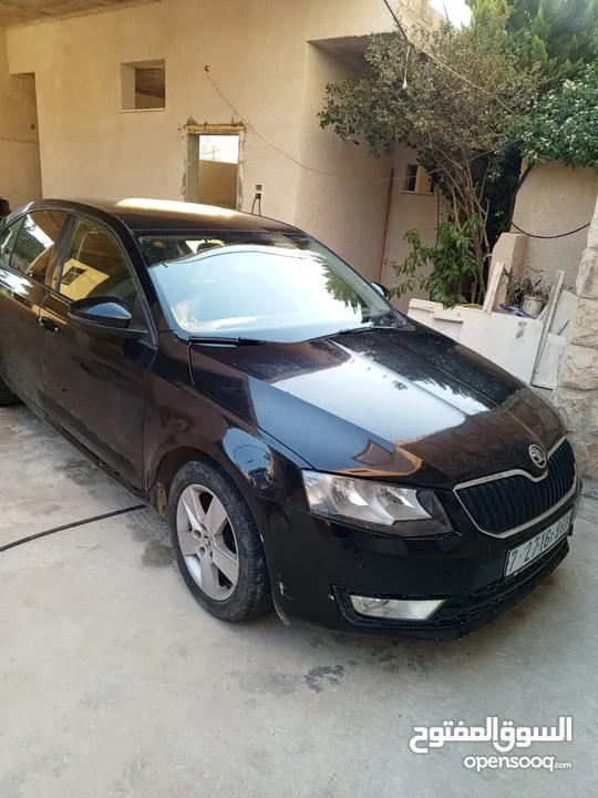 عماد رشدي نجم