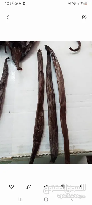 فانيلا طازج من مدغشقر Fresh Vanilla Beans From Madagascar