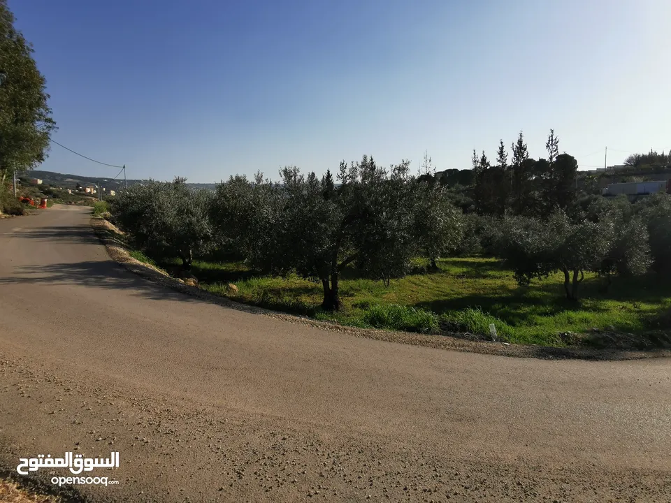قطعة أرض مميزة في السلط الصبيحي سيحان بسعر مغري بمنطقة جميلة