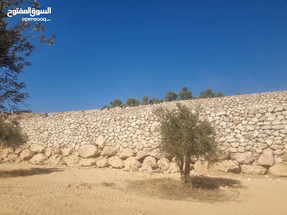 استصلاح اراضي بناء سلاسل تشييك مزارع بناء بيوت ريفيه تصميم مسابح بناء شاليهات تنفيذ جميع التعهدات