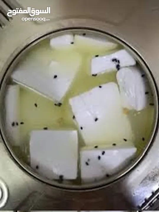 جبنة بلدية غنم 100٪؜