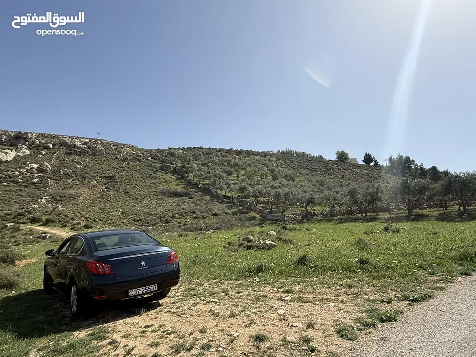 ارض للبيع قرمية حسبان 3100 متر لكامل القطعة قابل للأقساط
