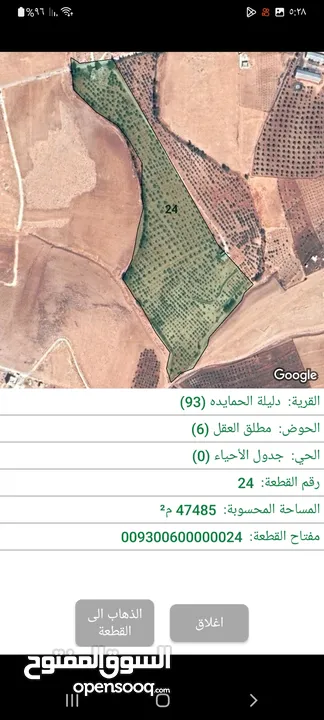 مزرعة زيتون للبيع