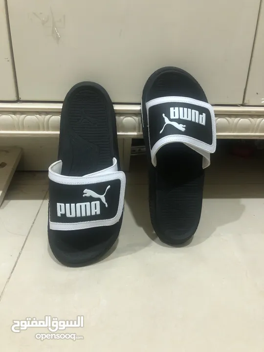 Puma limited edition