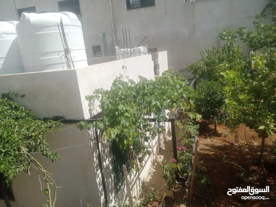 منزل مستقل جرش اسكان عجرمه  3غرف نوم 2حمام  صاله مع مطبخ امريكي  بلكونه  حديقه مساحه الارض 305