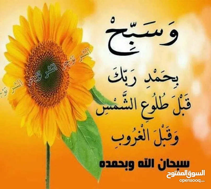 سفاري اريحا