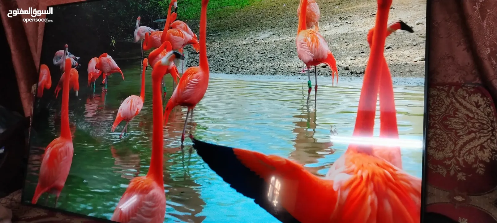 شاشه سامسونج 65 سمارت