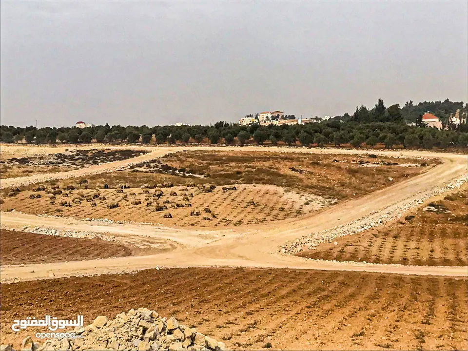 اراض استثمارية للبيع بالاقساط من المالك عمان ناعور ام القطين