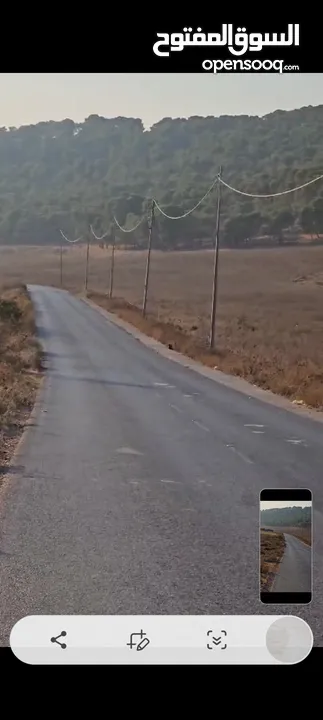 ارض للبيع في طوباس طابو سلطه المساحه  200دونم تصنيف الف