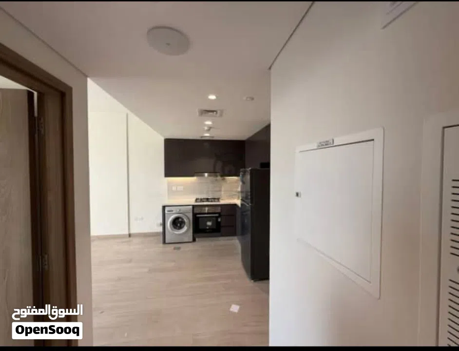 شقه كامله الخدمات غرفه وصاله بجوار اكبر بحيره صناعيه بأقل سعر بكل دبي