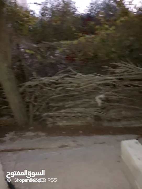 تشكيلة حطب للبيع