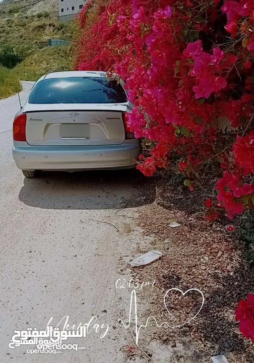 دايو لانوس