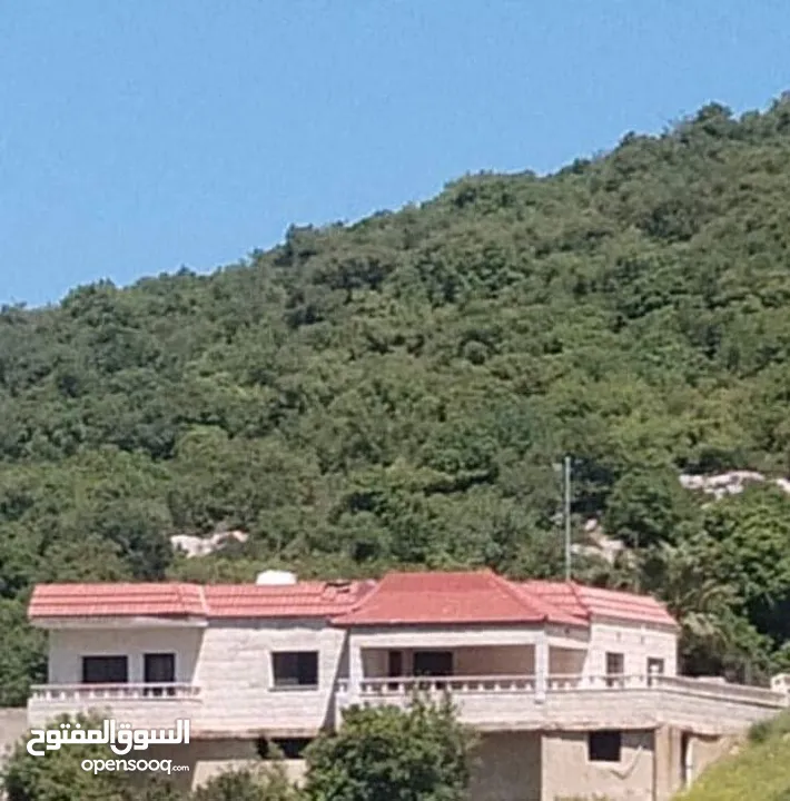 فيلا مستقلة مفروشة للايجار اليومي أو الاسبوعي أو الشهري  مطلة على جبال اشتفينا وعجلون عائلات فقط