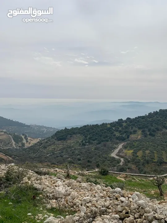 أرض ممتازة في جرش للسكن و للزراعة بقرب أحراش الدولة و سعر مغري  للمزيد من المعلومات اقرأ الوصف