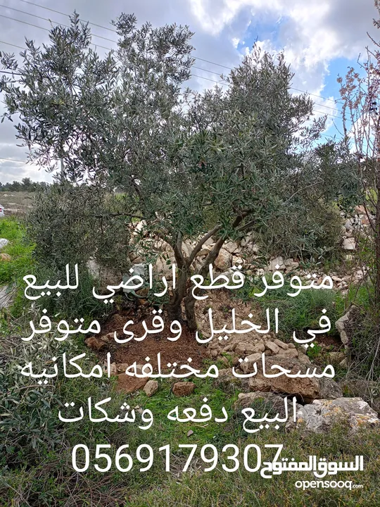 متوفر قطع اراضي للبيع مساحات مختلفه واسعار مختلفه