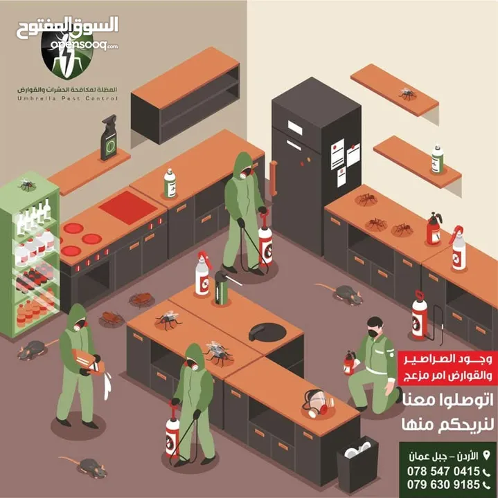 مكافحة الحشرات وبق الفراش و الصراصير والنمل وعثة الغبار والبراغيث والفئران بكفالة حقيقية في الاردن