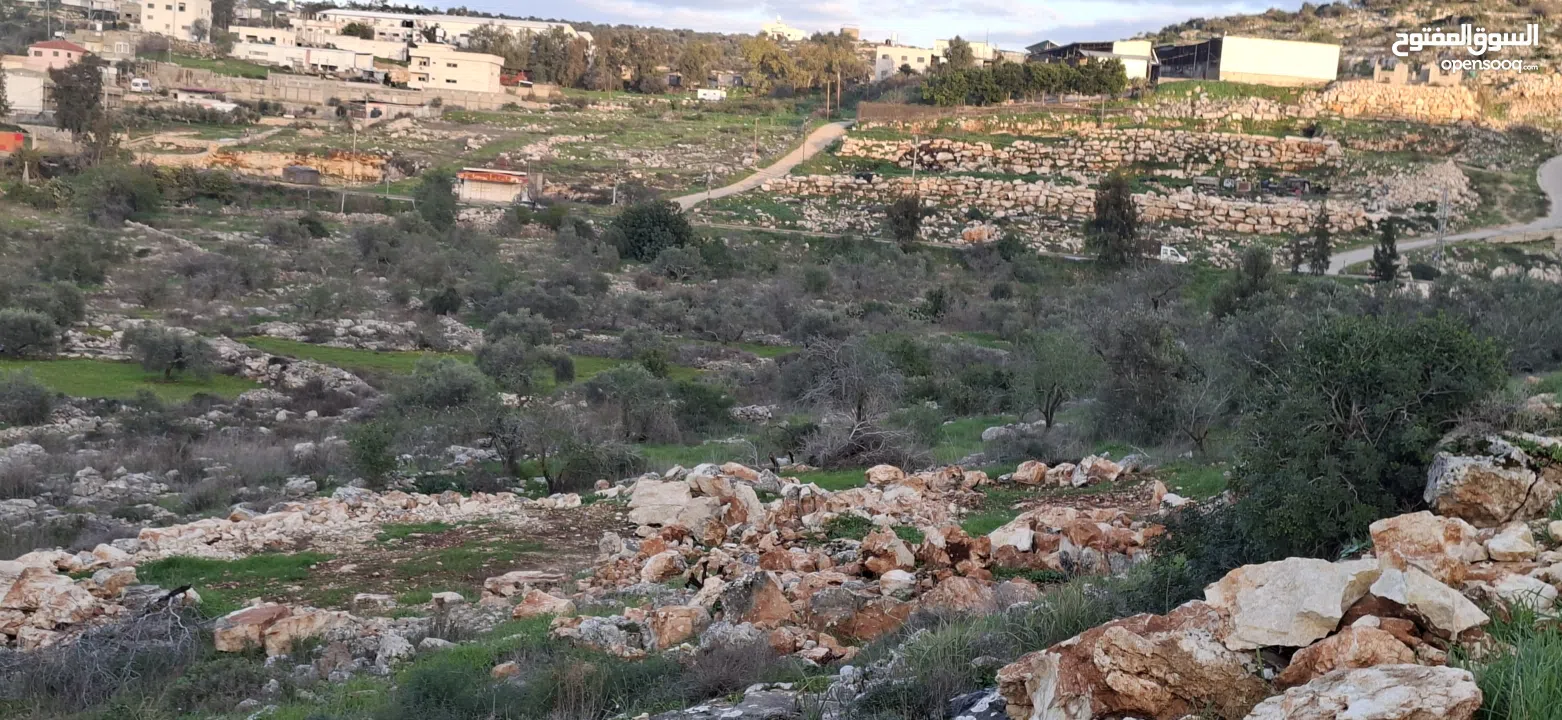 800متر طابوا فلسطيني في اجمل موقع بالكفريات واطلالة مميزةمنطقة( b)صالحة للبناء