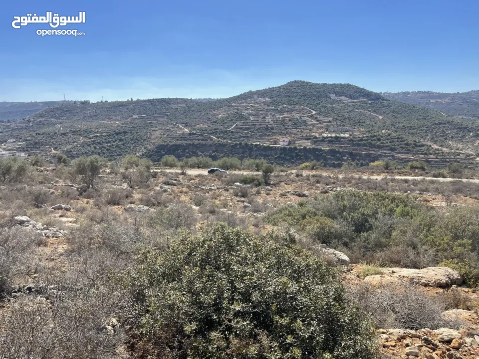 أراضي بمساحات متنوعه للبيع تصنيف A طابو فلسطيني