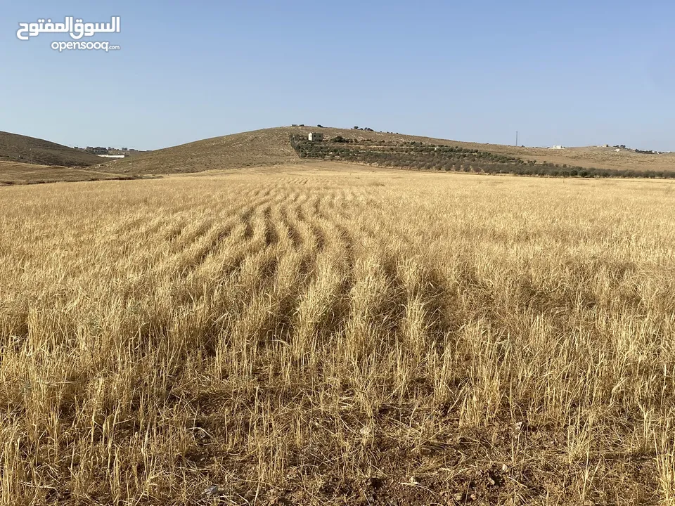 ارض للبيع في مادبا بسعر مغري من المالك مباشرة مع امكانية البدل على شقة